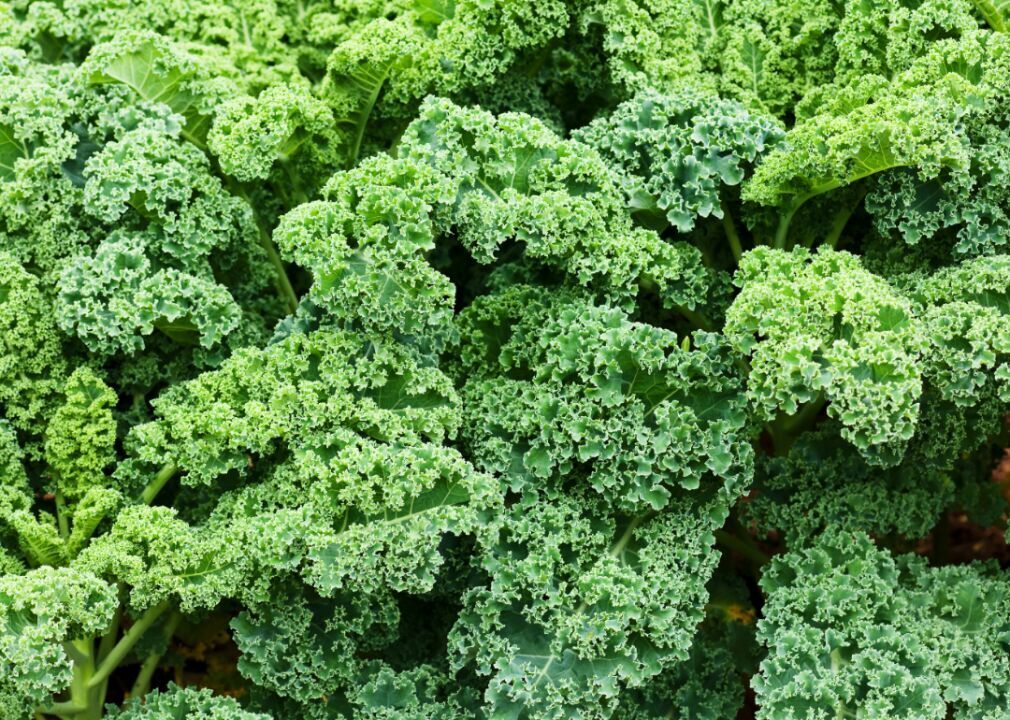 Kale